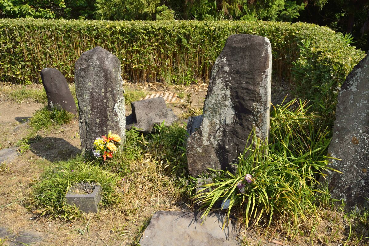 Old, weathered Japanese gravestones in a grassy area with some flowers.