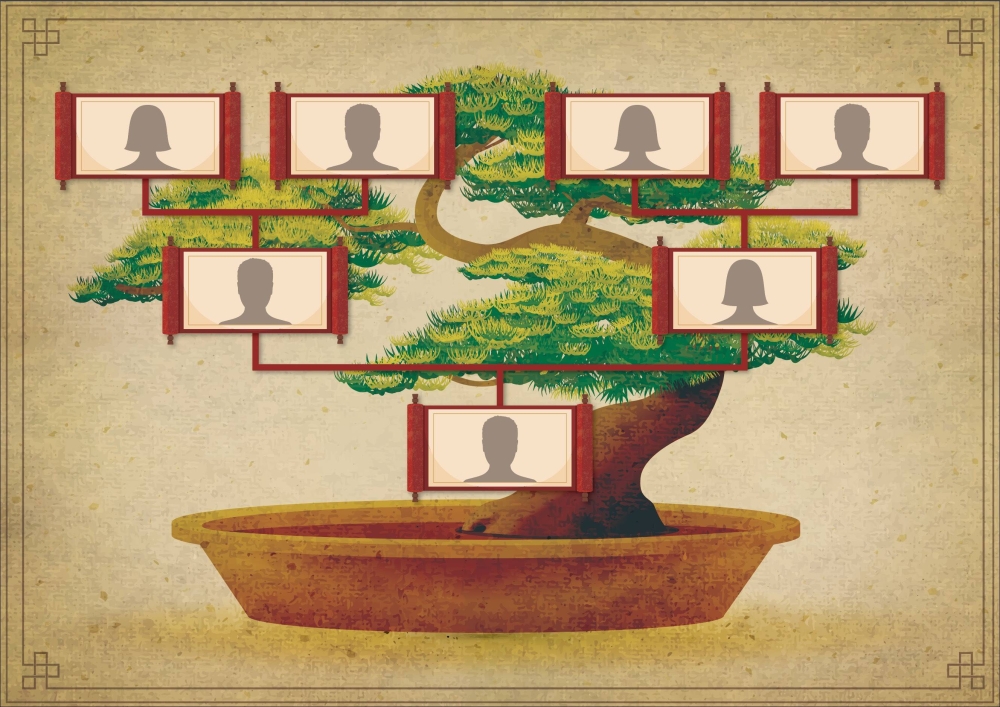 An illustration of a bonsai tree with branches forming a family tree chart.