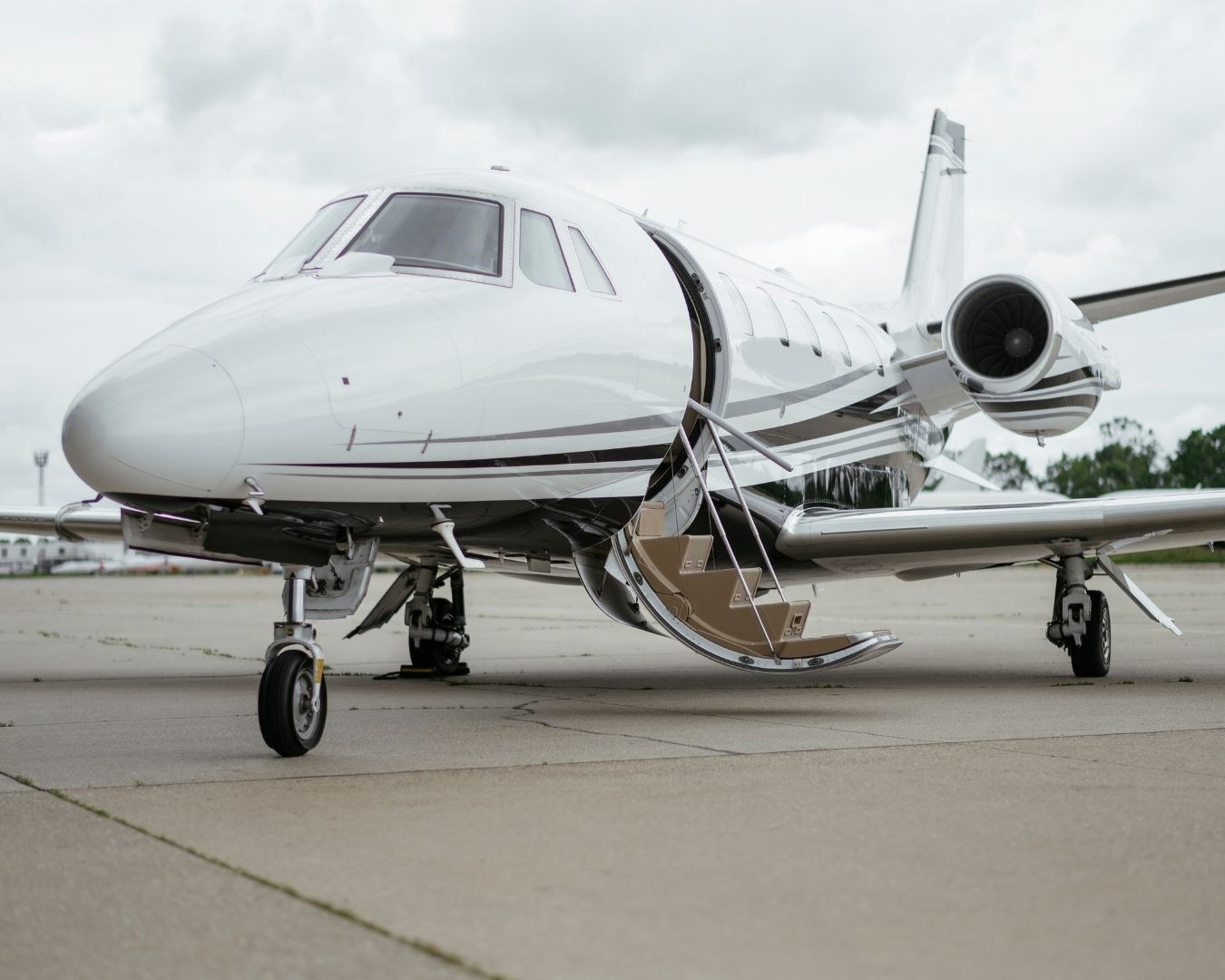 FAMILY Investigation Agency Logo